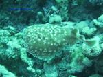 IMG_0415 IMG_0415