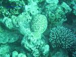 IMG_0416 IMG_0416