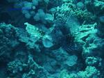 IMG_0420 IMG_0420