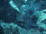 IMG_0423 IMG_0423