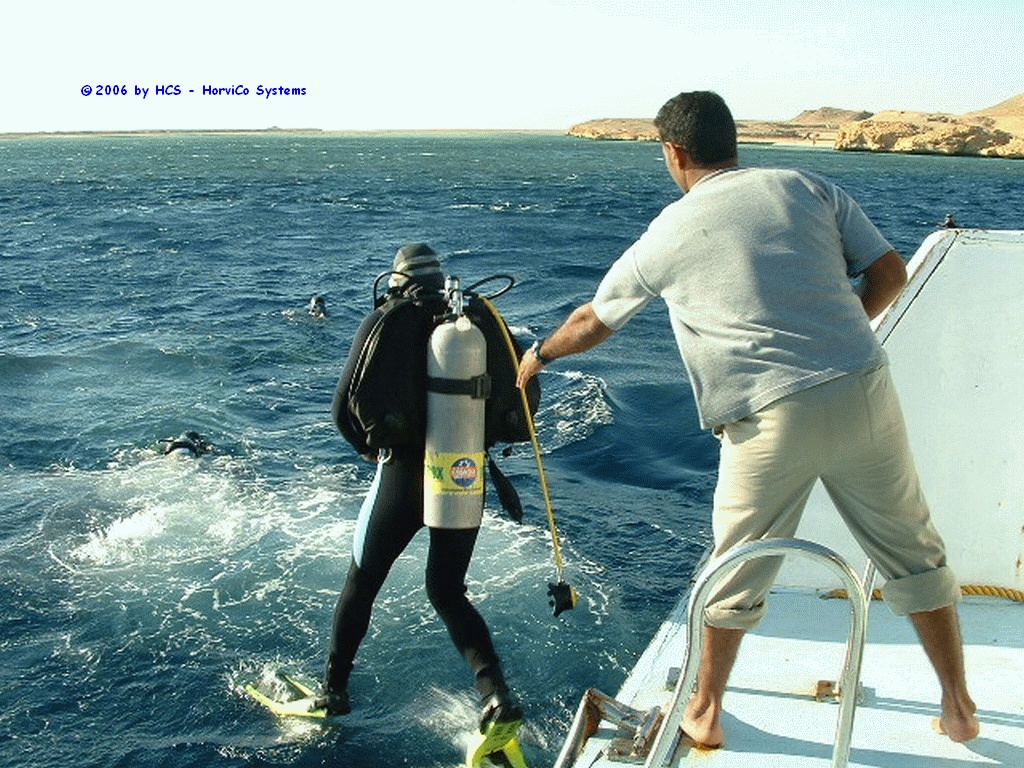 DSCF0065