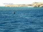 DSCF0067 DSCF0067