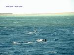 DSCF0068 DSCF0068