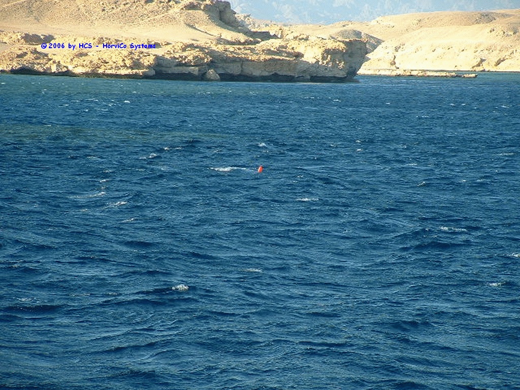 DSCF0071