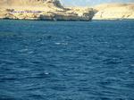DSCF0071 DSCF0071