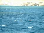 DSCF0072 DSCF0072