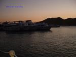 DSCF0099 DSCF0099