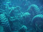 IMG_0011 IMG_0011