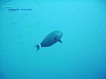 IMG_0015 IMG_0015