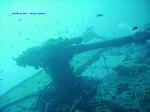IMG_0020 IMG_0020