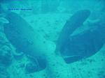 IMG_0026 IMG_0026