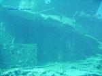 IMG_0029 IMG_0029
