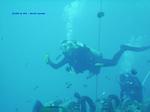 IMG_0034 IMG_0034
