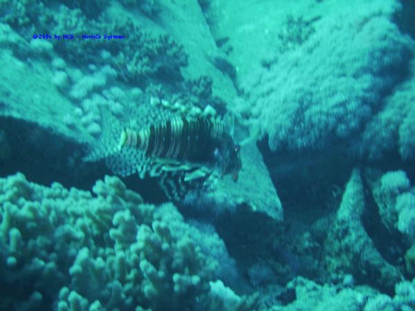 IMG_0039