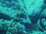 IMG_0039 IMG_0039