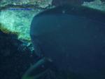 IMG_0042 IMG_0042