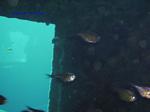 IMG_0047 IMG_0047