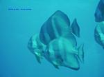 IMG_0054 IMG_0054
