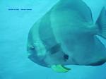IMG_0055 IMG_0055
