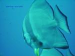 IMG_0056 IMG_0056