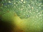IMG_0060 IMG_0060