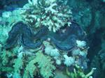 IMG_0062 IMG_0062