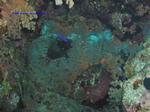 IMG_0064 IMG_0064