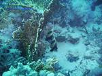 IMG_0065 IMG_0065