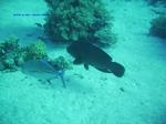 IMG_0066 IMG_0066