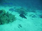 IMG_0067 IMG_0067