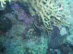 IMG_0070 IMG_0070