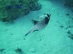 IMG_0071 IMG_0071