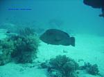 IMG_0072 IMG_0072
