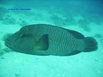 IMG_0073 IMG_0073