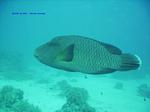 IMG_0074 IMG_0074