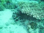 IMG_0076 IMG_0076