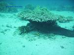 IMG_0077 IMG_0077