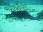 IMG_0078 IMG_0078
