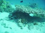 IMG_0079 IMG_0079