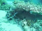 IMG_0080 IMG_0080