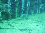 IMG_0082 IMG_0082
