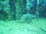 IMG_0083 IMG_0083