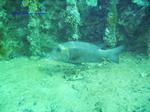 IMG_0084 IMG_0084