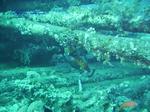 IMG_0090 IMG_0090