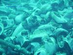 IMG_0091 IMG_0091