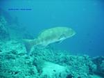 IMG_0097 IMG_0097