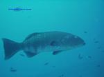 IMG_0099 IMG_0099