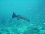 IMG_0100 IMG_0100