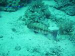 IMG_0102 IMG_0102
