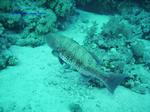 IMG_0103 IMG_0103
